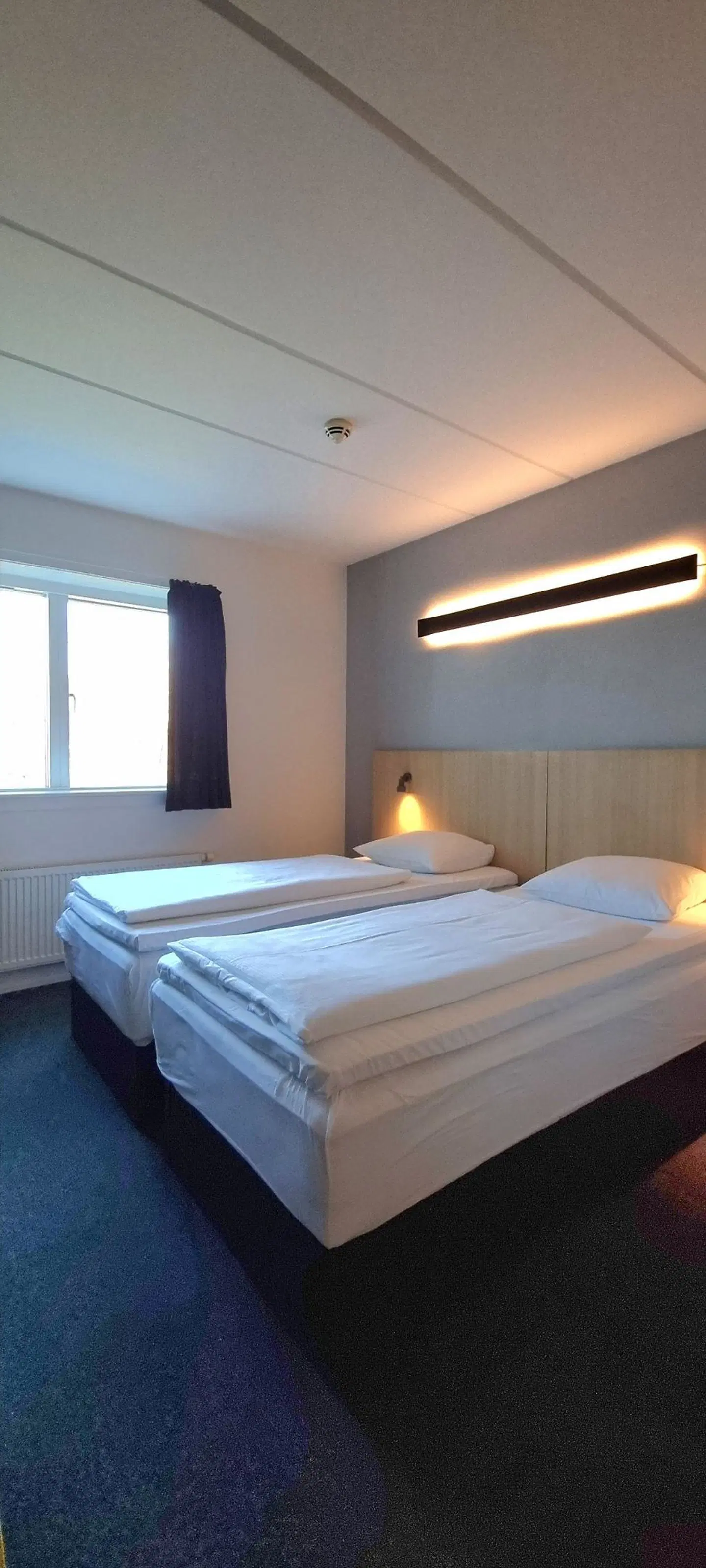 Four Points Flex by Sheraton Ballerup ROOM_EXAMPLE