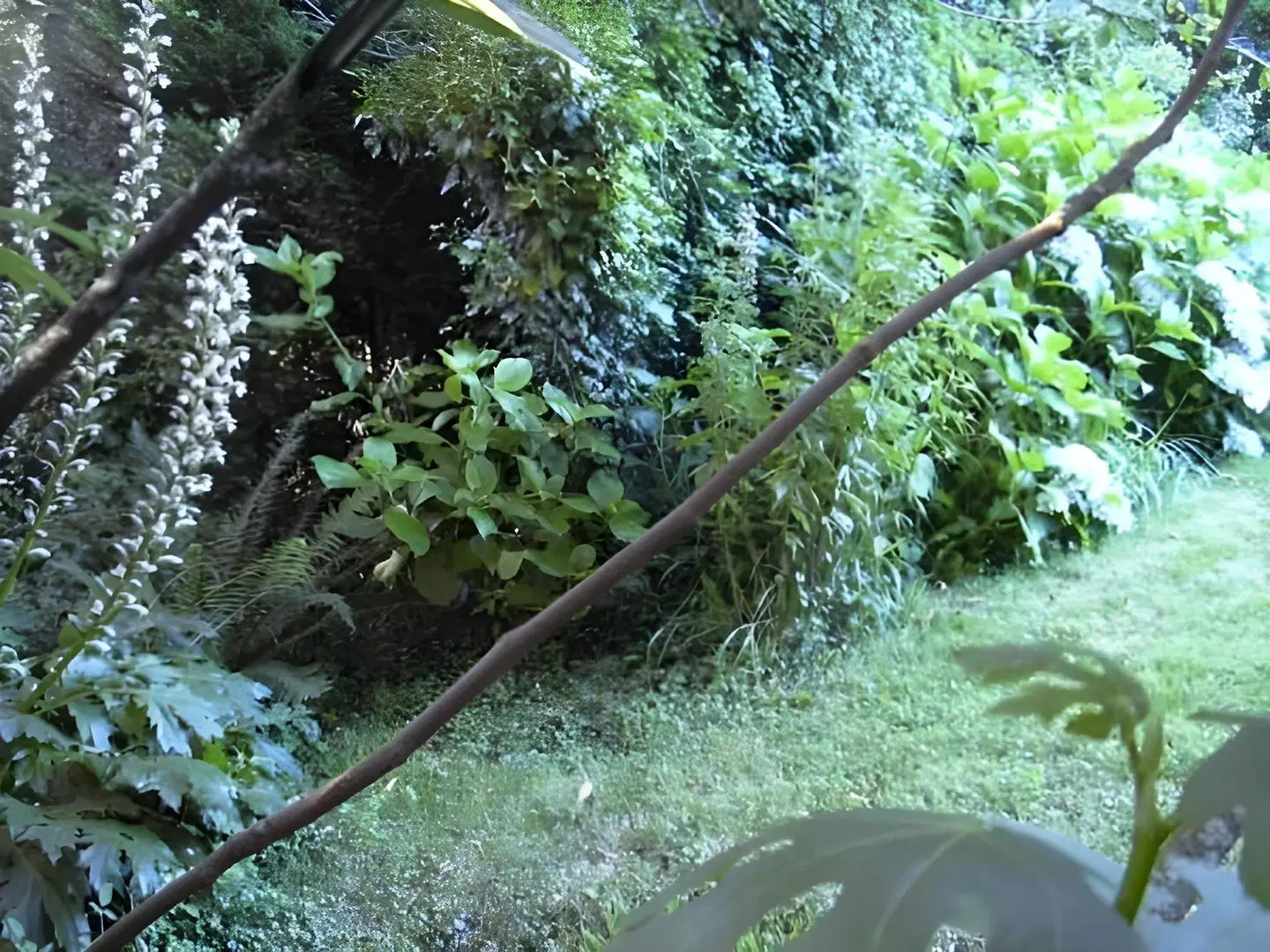 Maison d'hôtes Léchémia LANDSCAPE