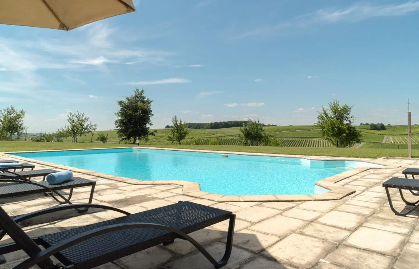 Le Relais de Saint Preuil OUTDOOR_POOL