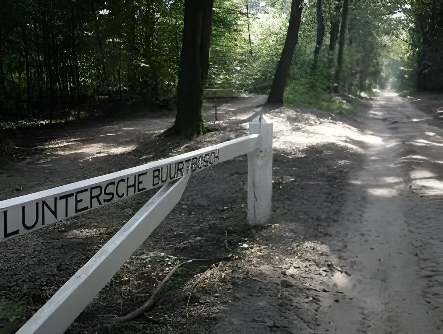 De Lunterse Boer LANDSCAPE
