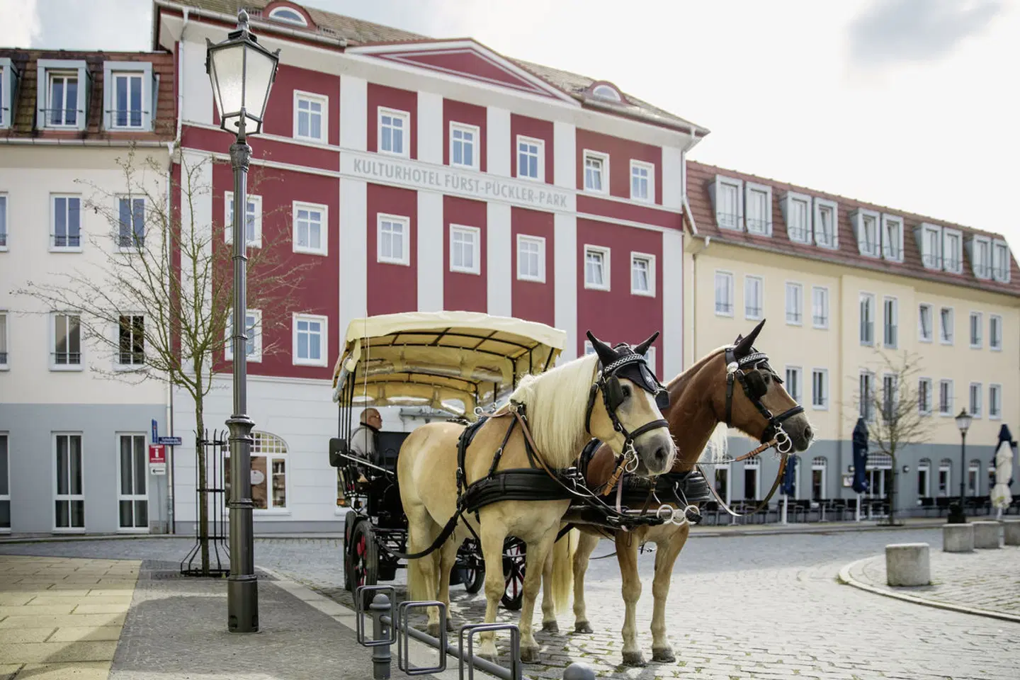 Kulturhotel Fürst Pückler Park Tiere