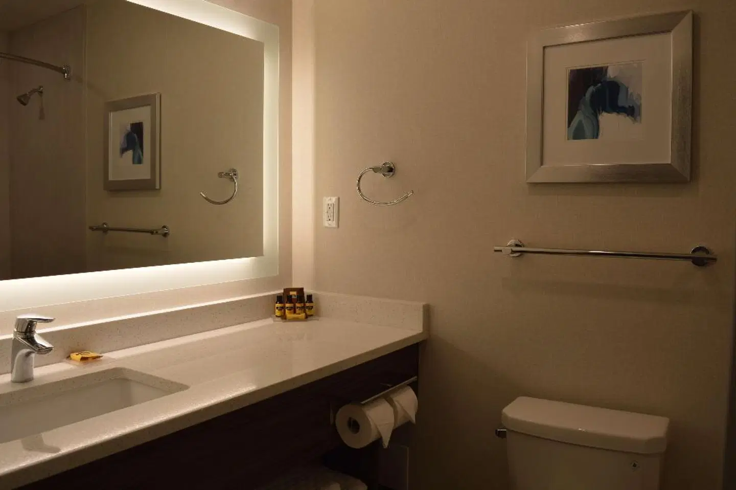 Best Western Plus Gateway to the Falls Badezimmer