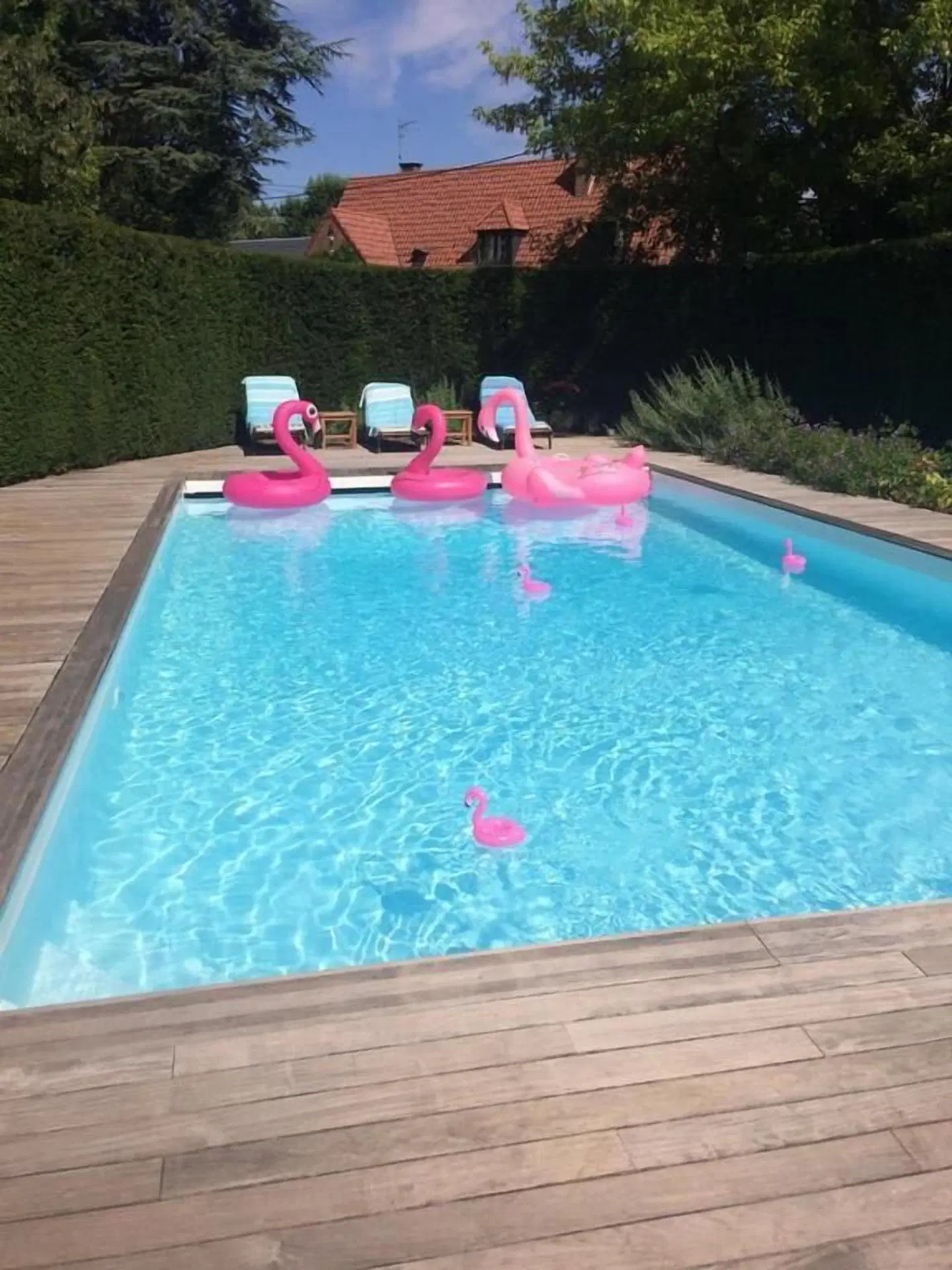 Les Glycines OUTDOOR_POOL