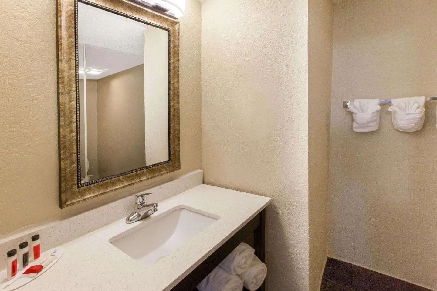 Baymont by Wyndham Downtown Detroit Badezimmer