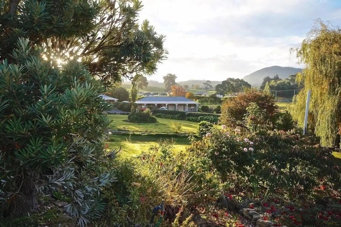Port Arthur Villas LANDSCAPE