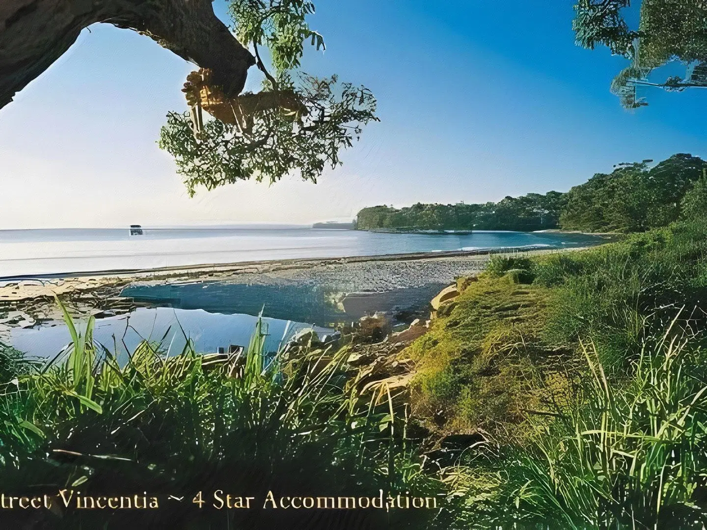 Dolphin Shores LANDSCAPE