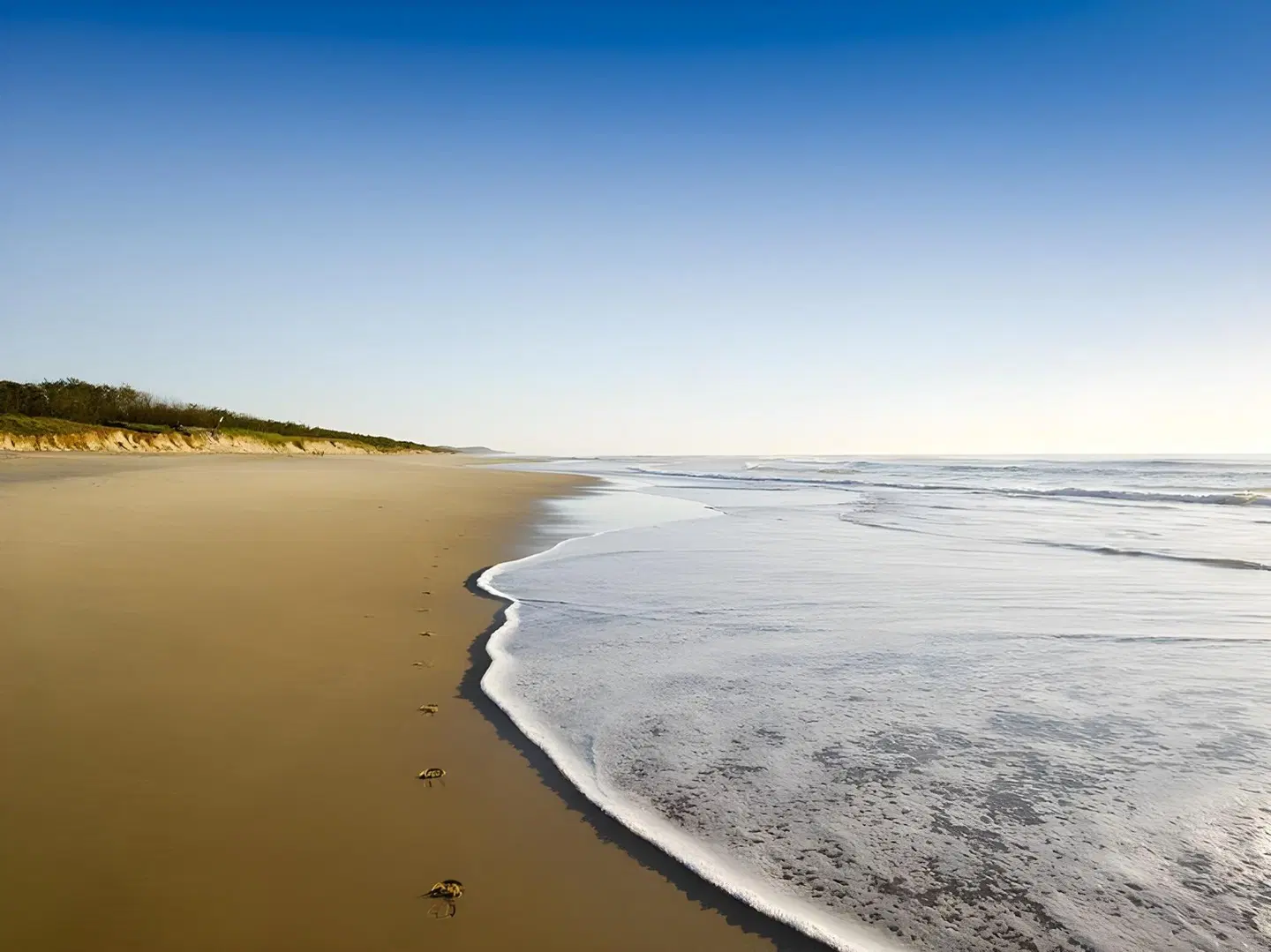 The Retreat Beach Houses Strand