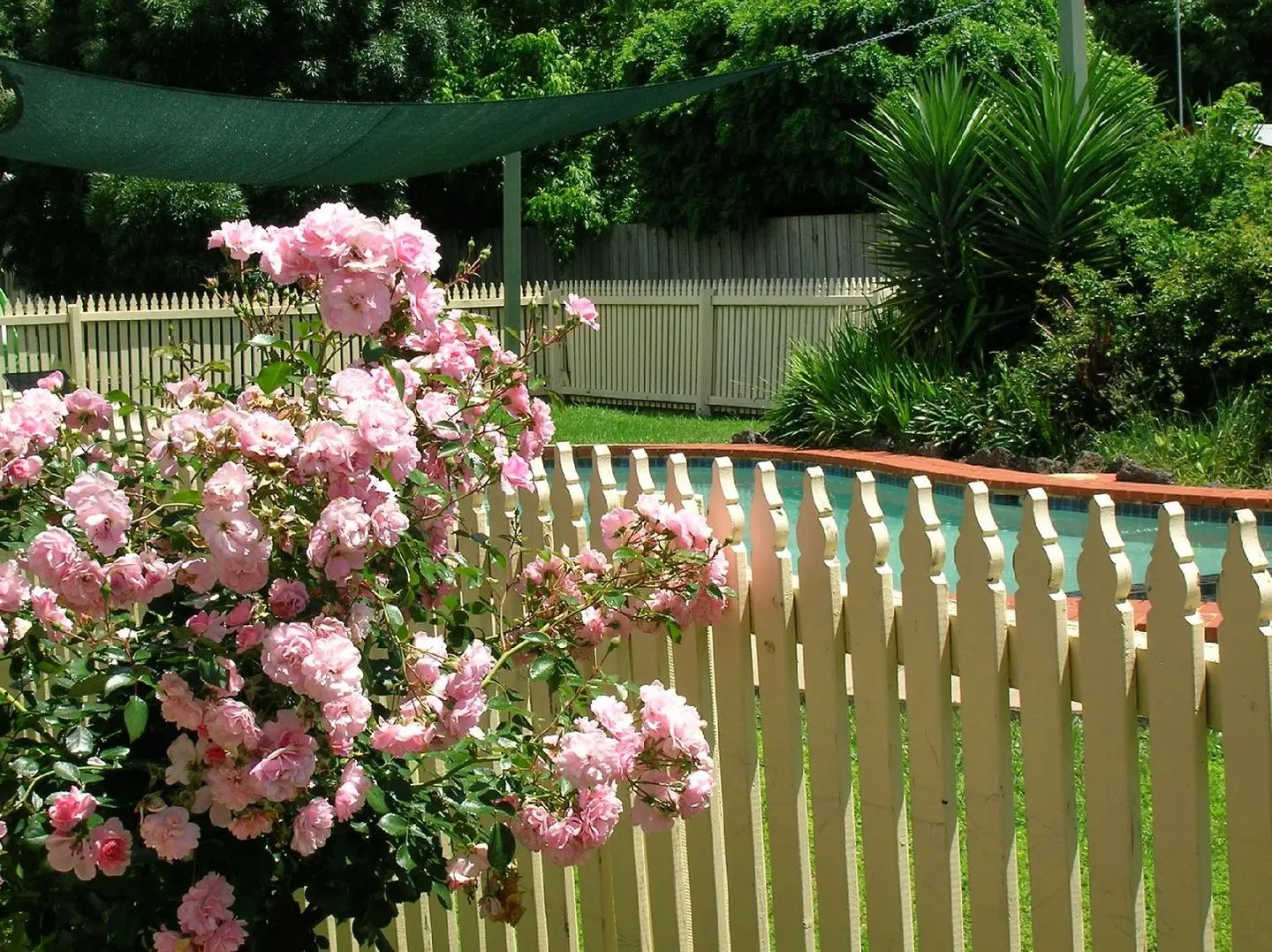 Rose Garden Motel Garten