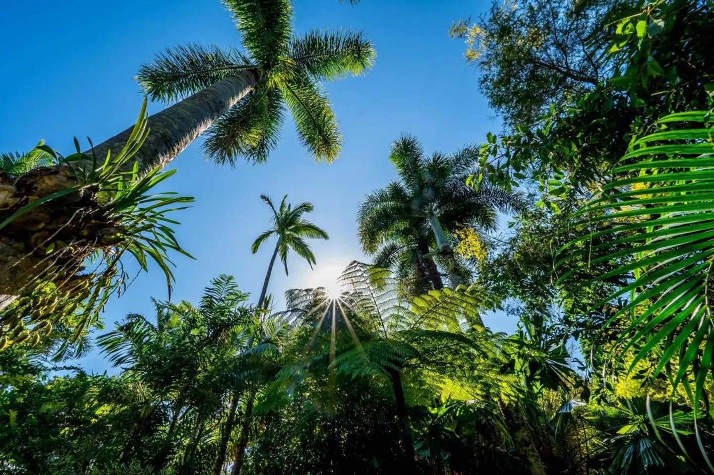 Eco Village Mission Beach LANDSCAPE