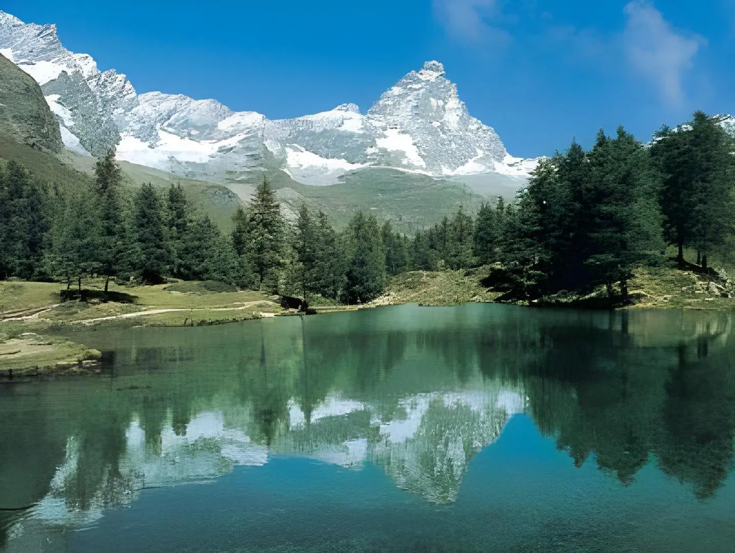 Elena LANDSCAPE