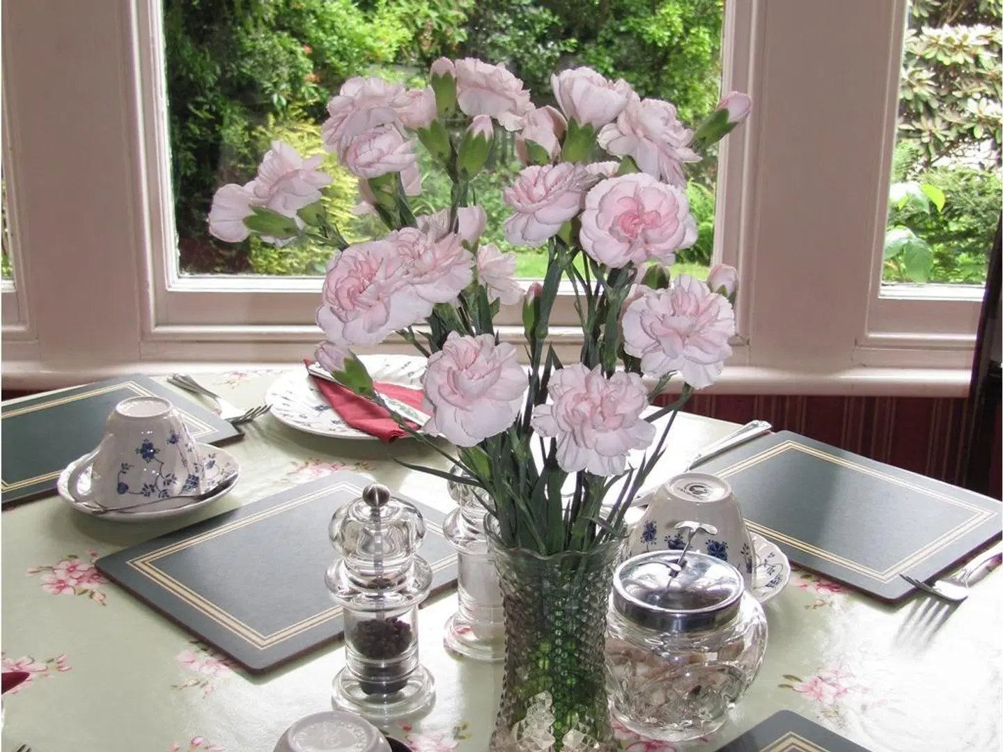 Penrose B&B Terrasse