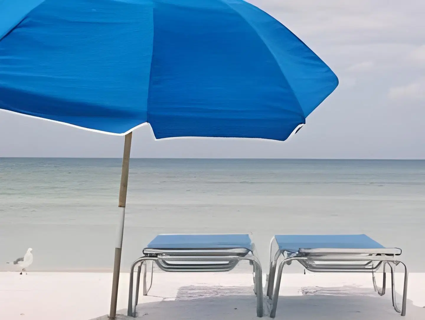 Tropical Beach Resorts - Sarasota PEOPLE