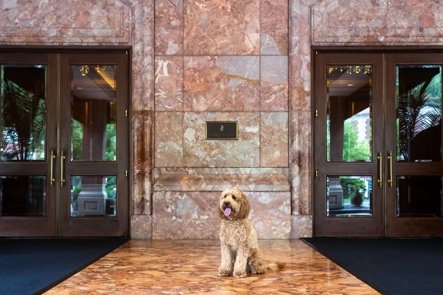 The Ritz-Carlton, St. Louis HEALTH_BEAUTY