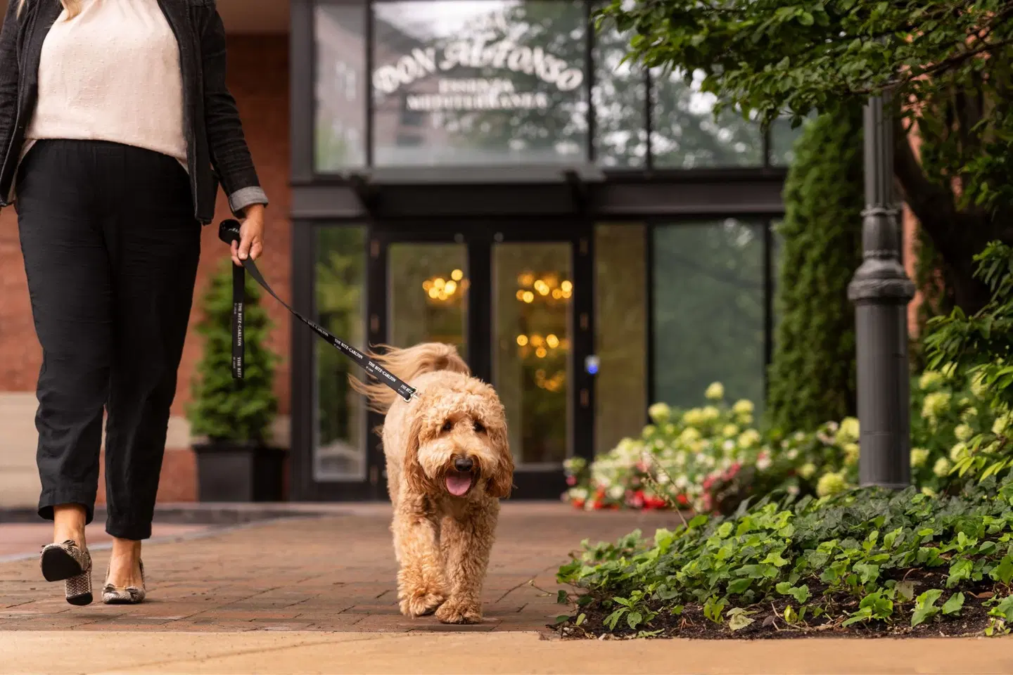 The Ritz-Carlton, St. Louis Tiere