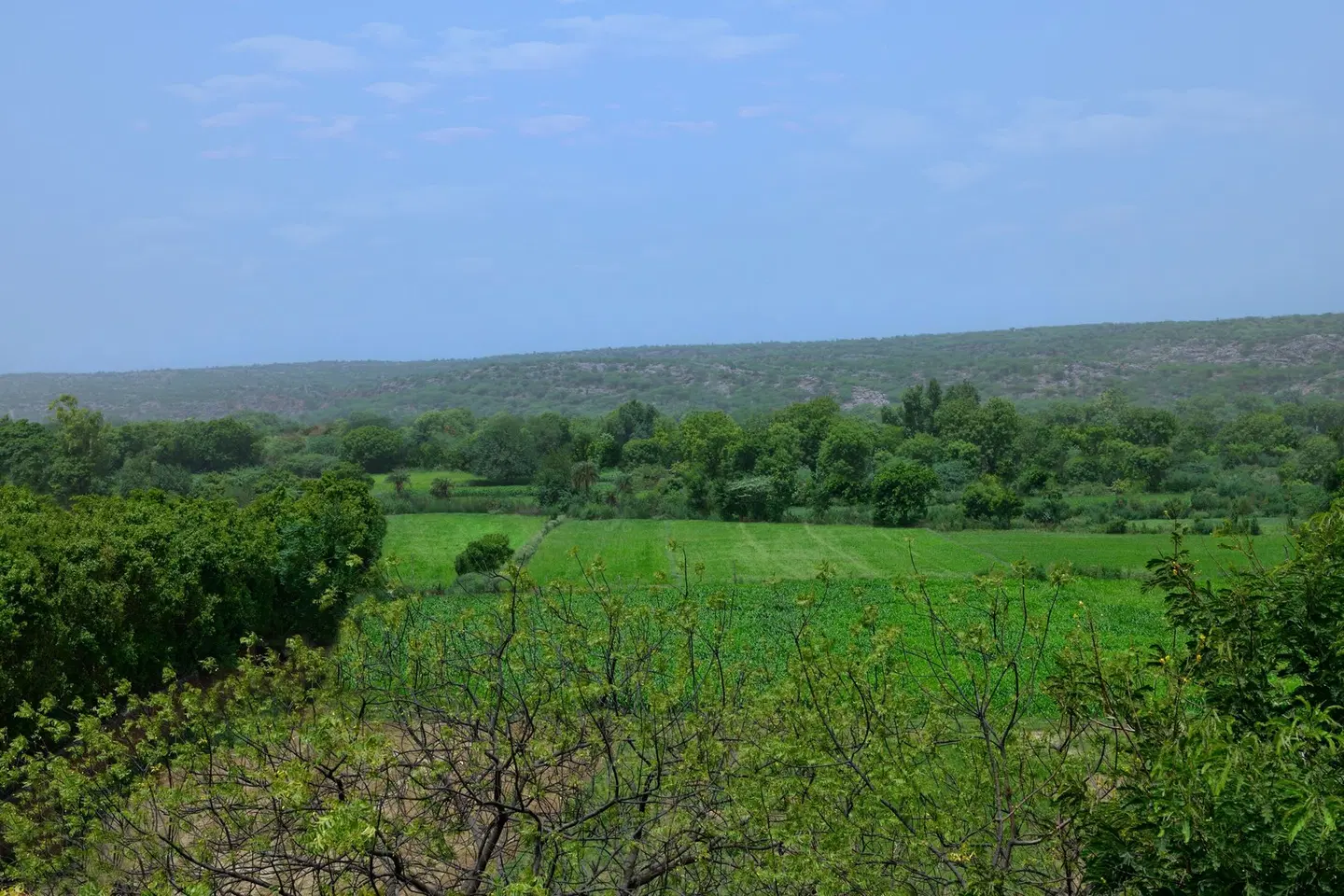 Aravali Marriott Resort & Spa, Delhi NCR LANDSCAPE