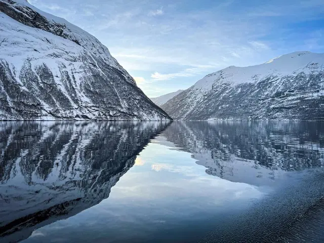 Winter im Geirangerfjord Tiere
