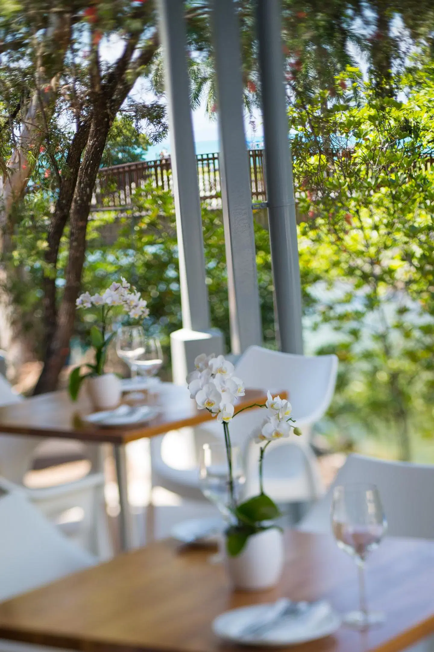 Heart Hotel and Gallery Whitsundays Terrasse