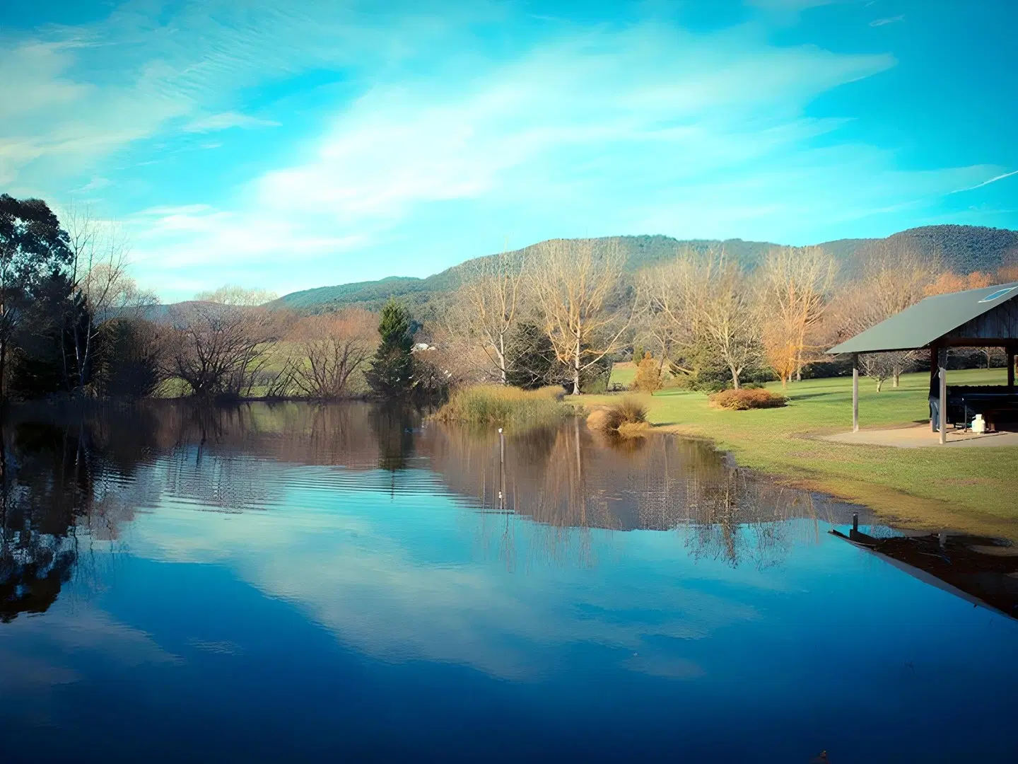 Sanctuary Park Cottages LANDSCAPE