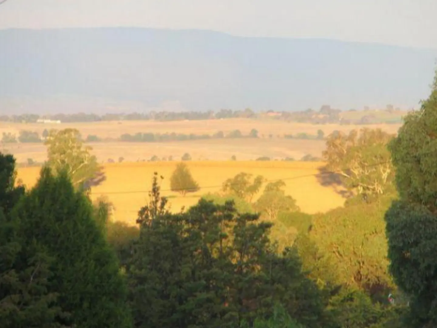 Hawk's Nest Bed & Breakfast LANDSCAPE