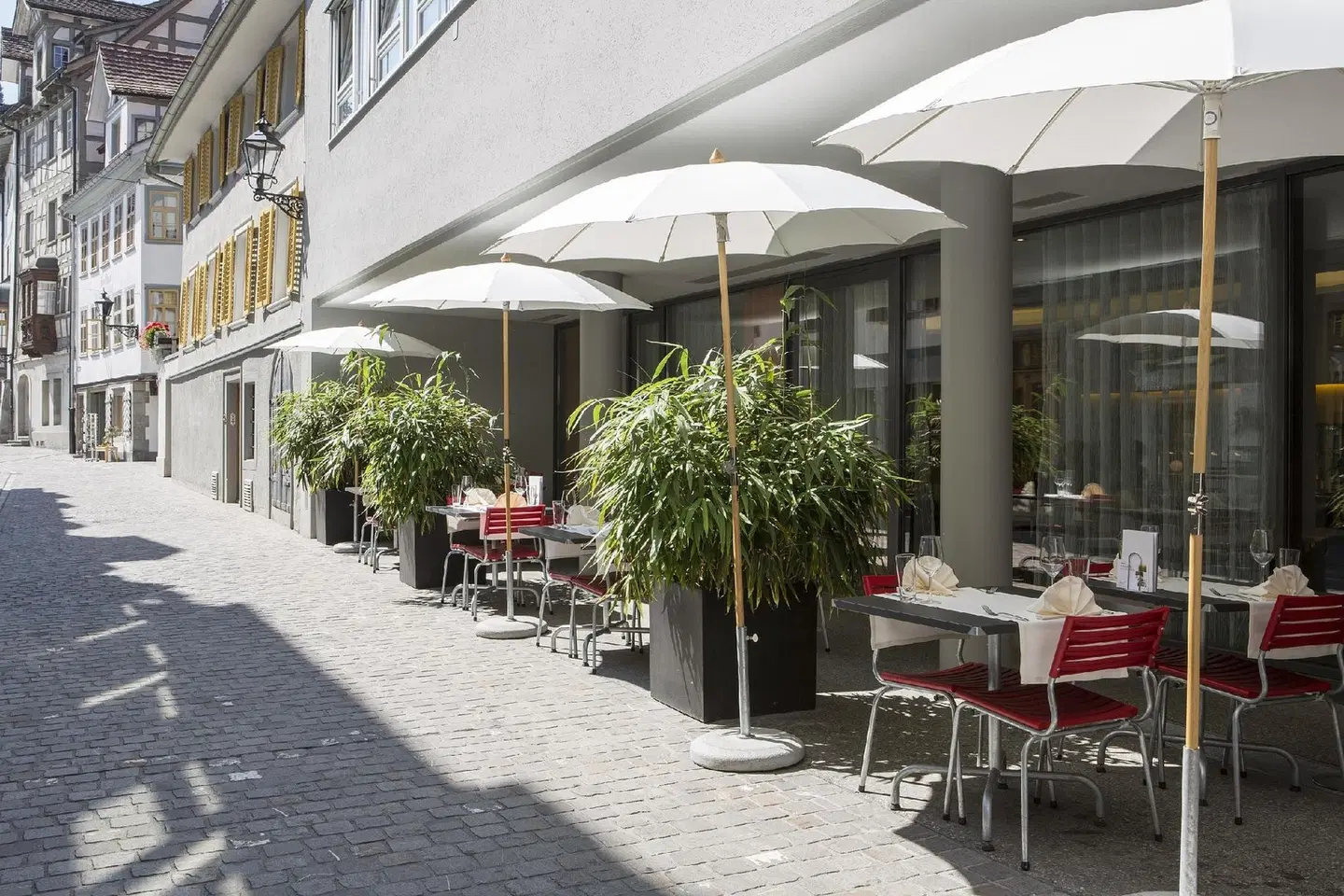 Dom Terrasse