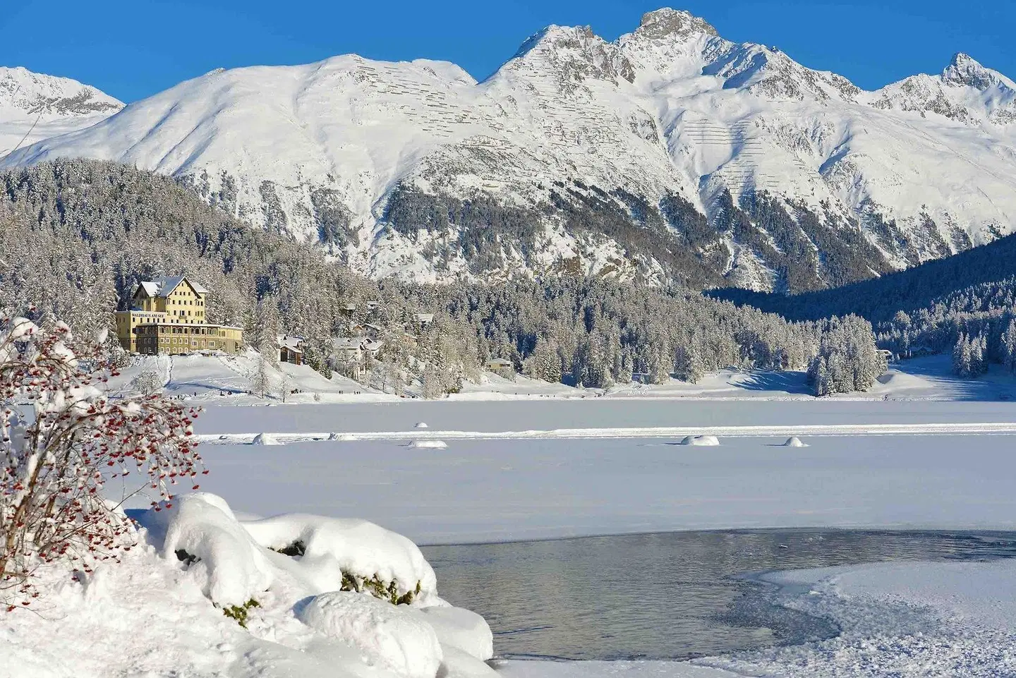 Waldhaus am See LANDSCAPE