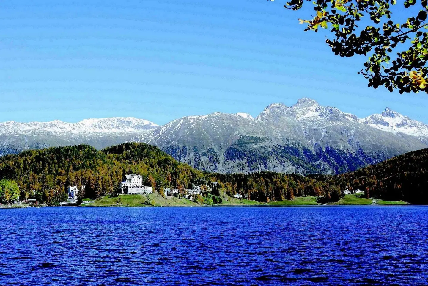 Waldhaus am See LANDSCAPE