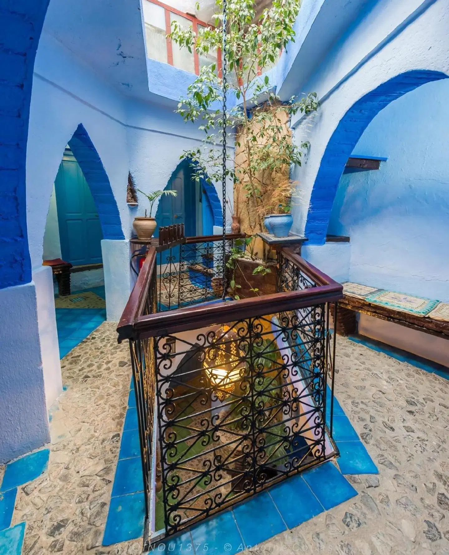 Hotel Molino Garden LOUNGE_LOBBY