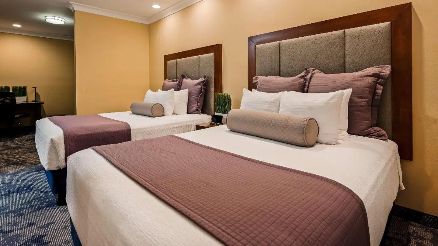 Best Western PLUS Avita Suites ROOM_EXAMPLE