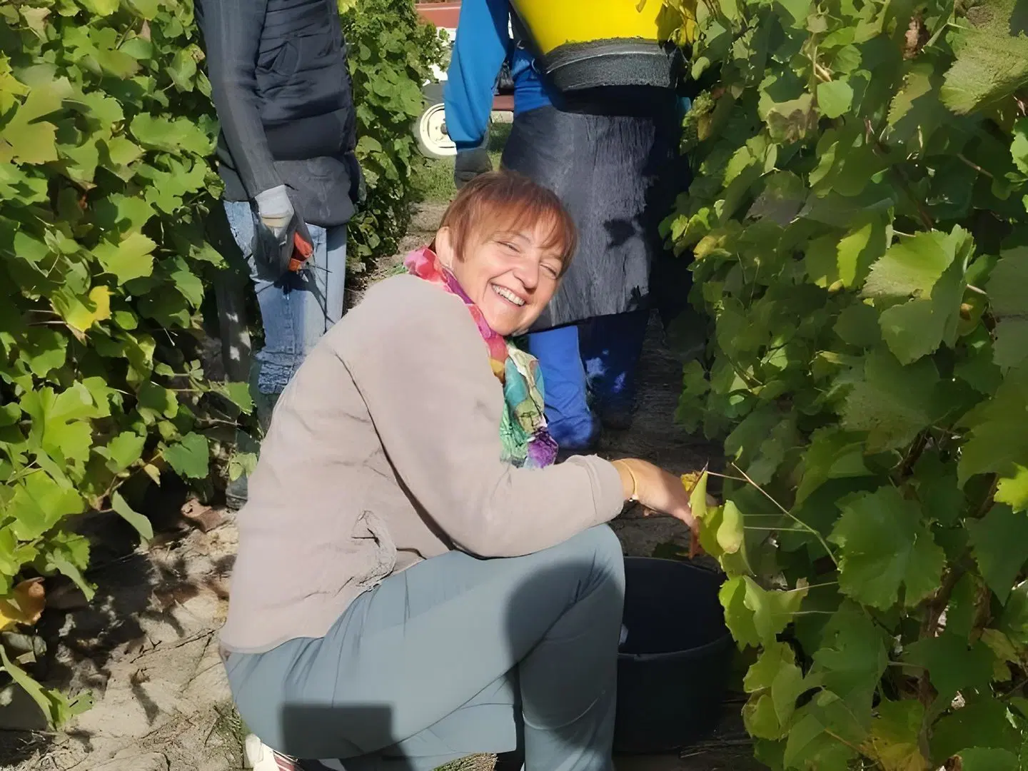 Le Moulin de Bacchus PEOPLE