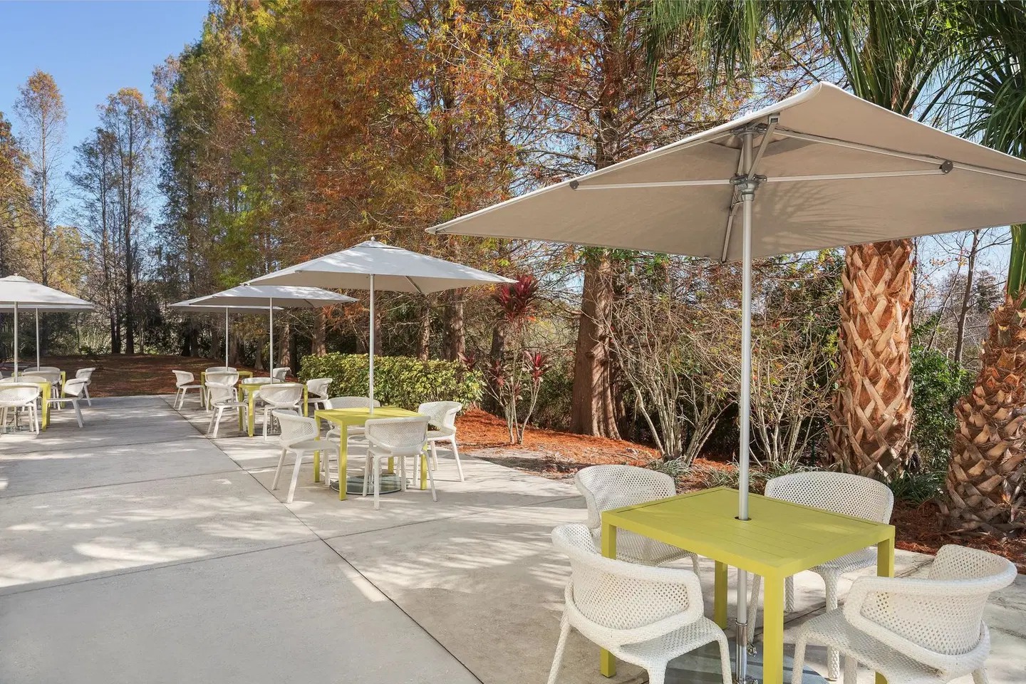 Hilton Garden Inn Tampa North Terrasse