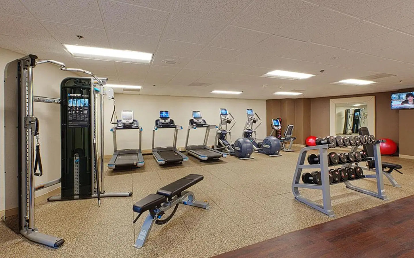 Embassy Suites by Hilton Tampa Airport Westshore SPORTS_AND_LEISURE