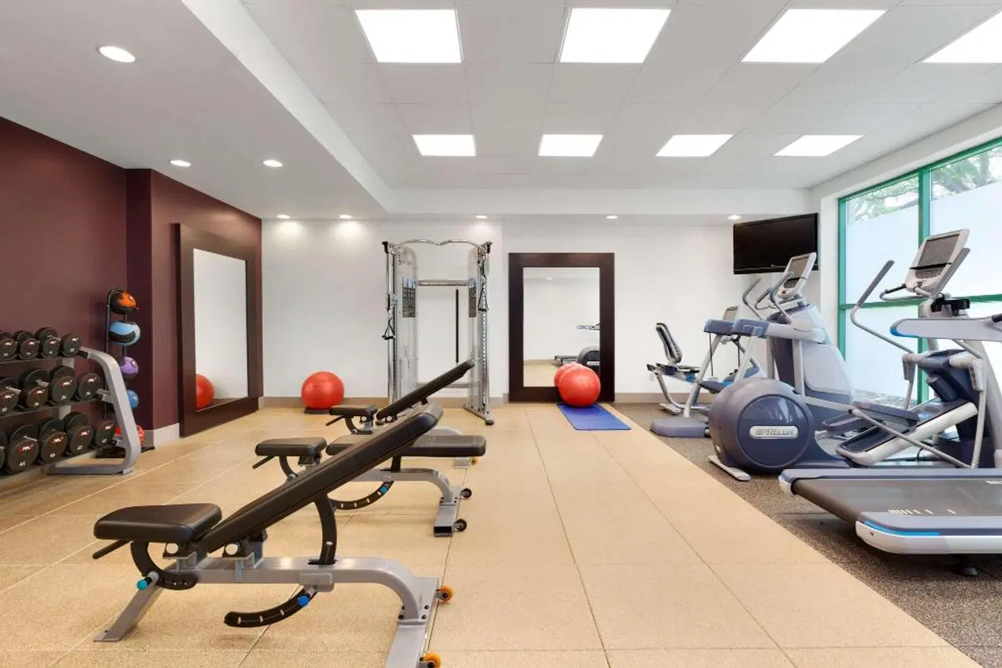Embassy Suites by Hilton Tampa USF Near Busch Gardens SPORTS_AND_LEISURE