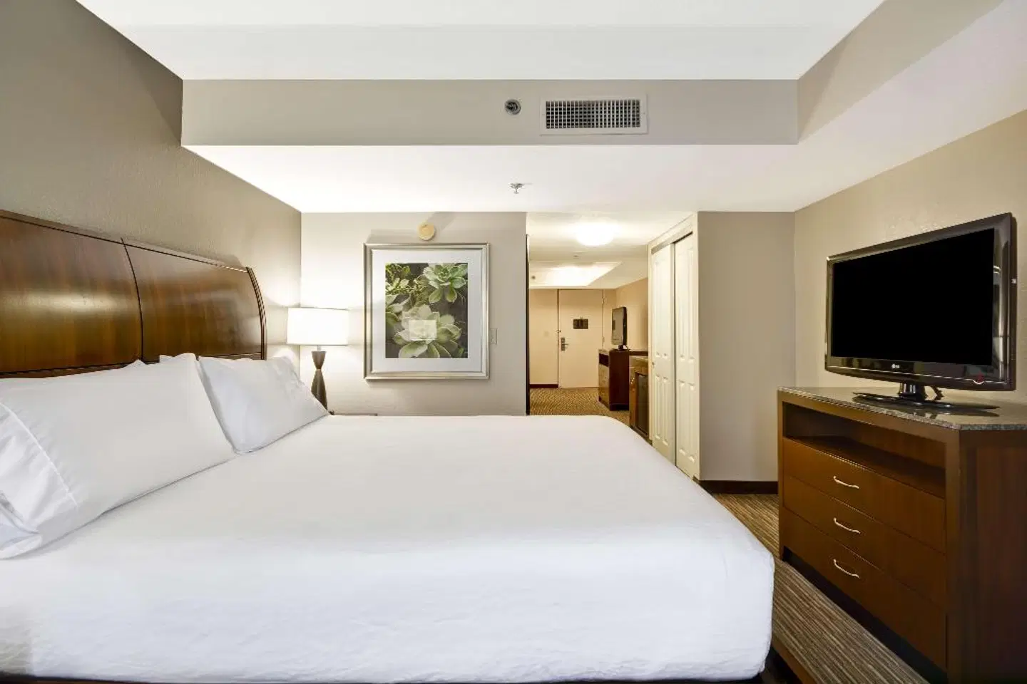 Hilton Garden Inn Sarasota-Bradenton Airport ROOM_EXAMPLE