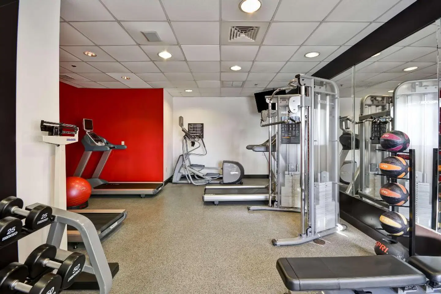 Hilton Garden Inn Sarasota-Bradenton Airport SPORTS_AND_LEISURE