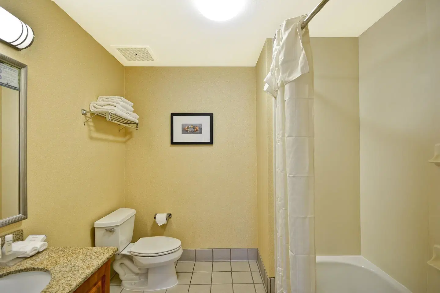 Homewood Suites by Hilton Newark-Wilmington South Area Badezimmer