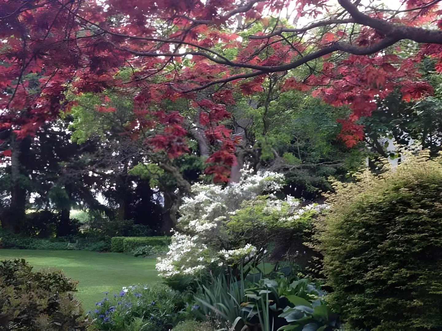 Silverstream Lodge Garten