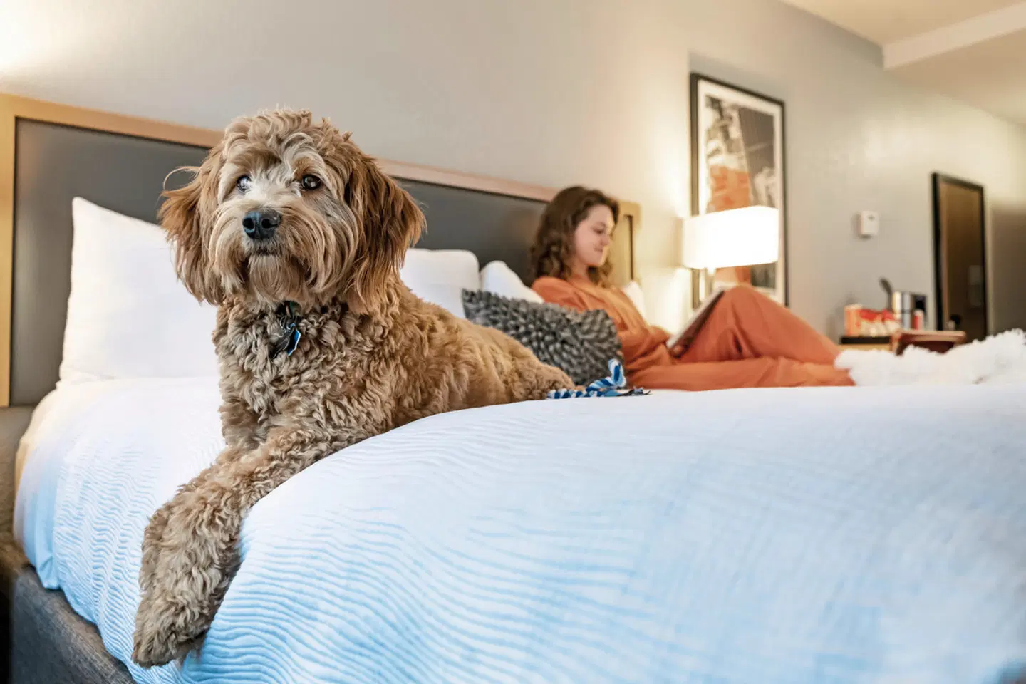 Hotel Saint Clair Tiere