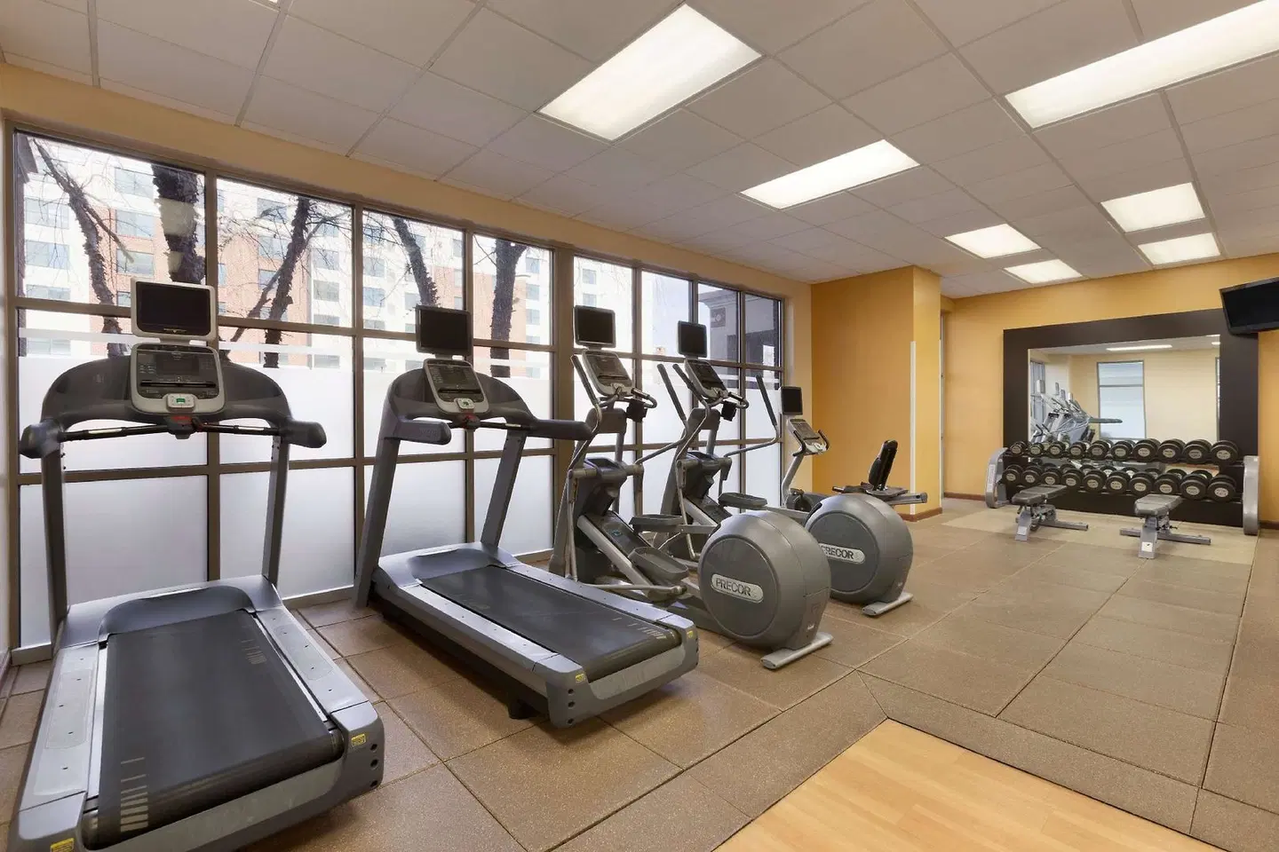 Embassy Suites by Hilton Newark Wilmington South SPORTS_AND_LEISURE