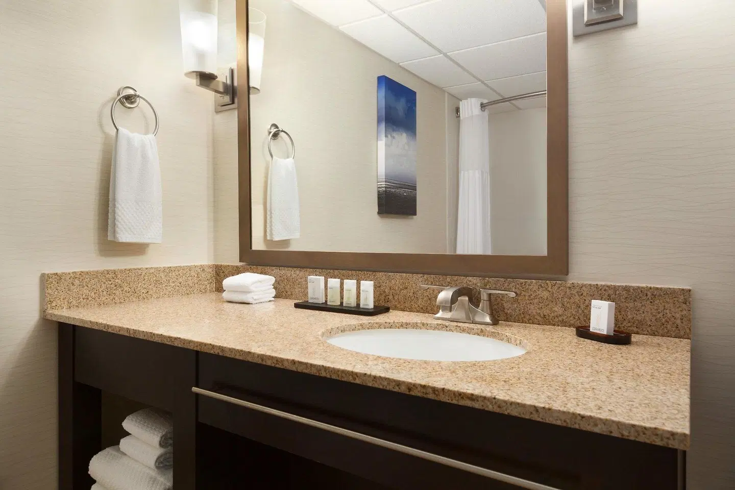 Embassy Suites by Hilton Oklahoma City Will Rogers World Airport Badezimmer