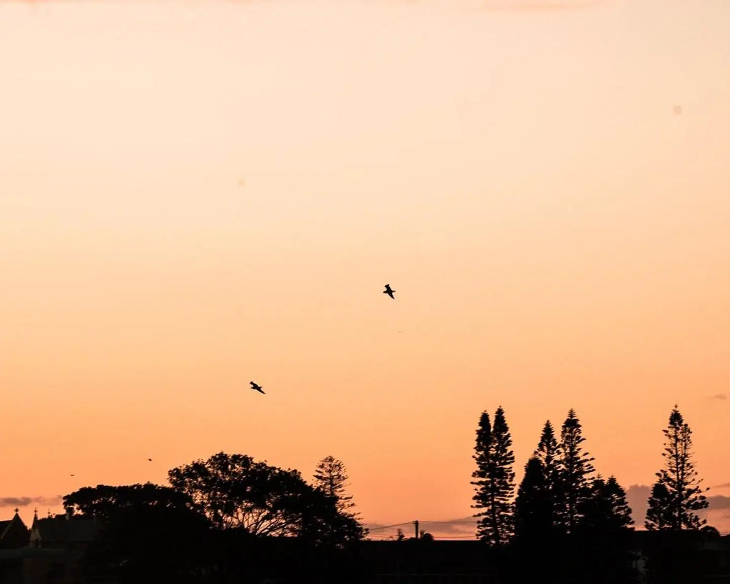 Terrigal Pacific Coastal Retreat LANDSCAPE