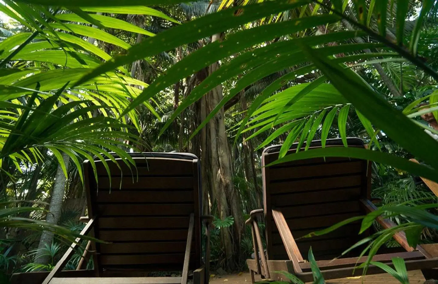 Arajilla Retreat Garten