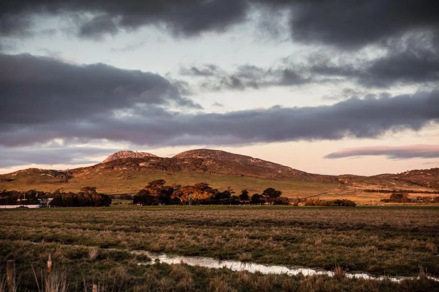 Island Quarters LANDSCAPE