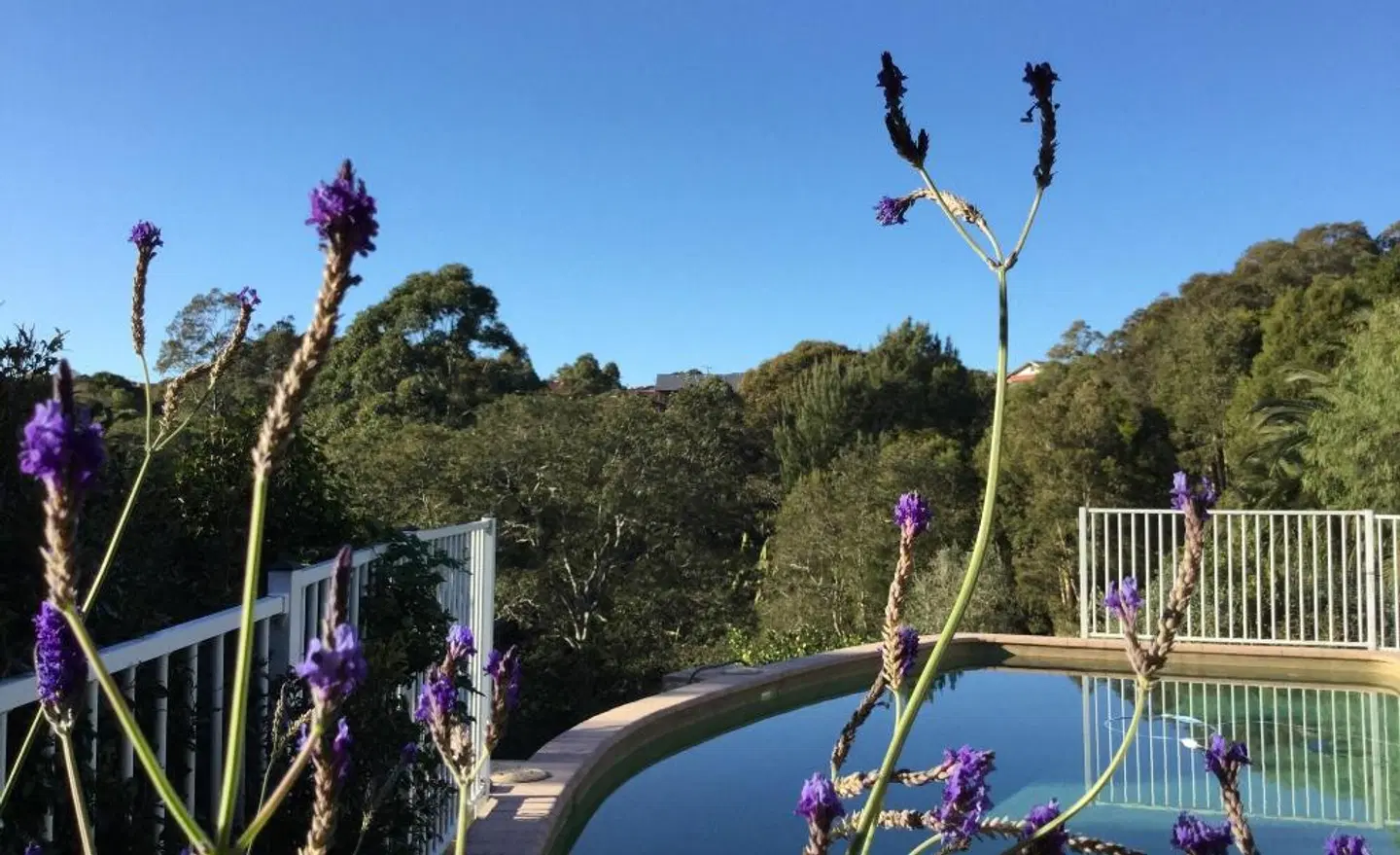 Valley View Bed and Breakfast Terrasse