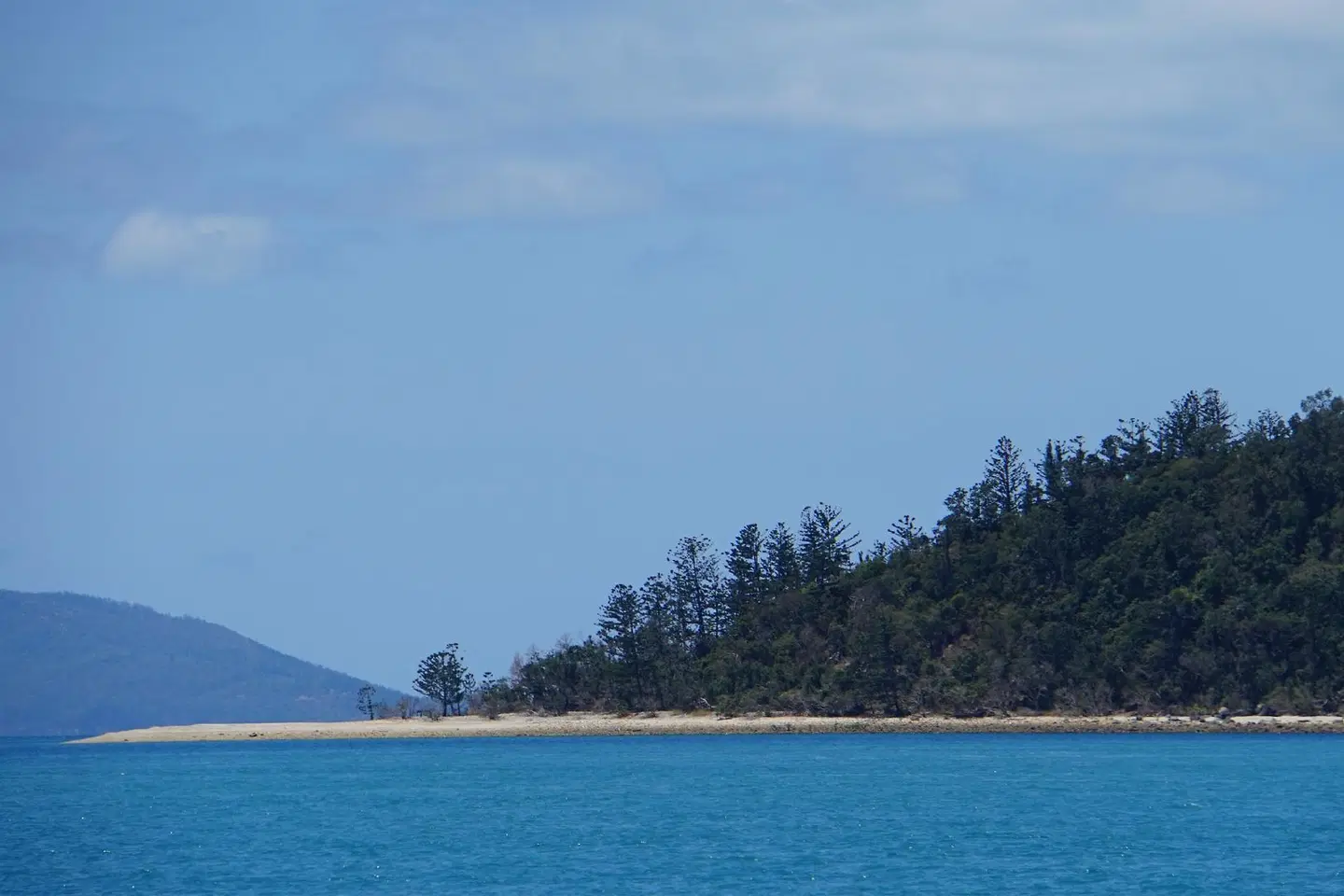 Airlie Seaview Apartments LANDSCAPE