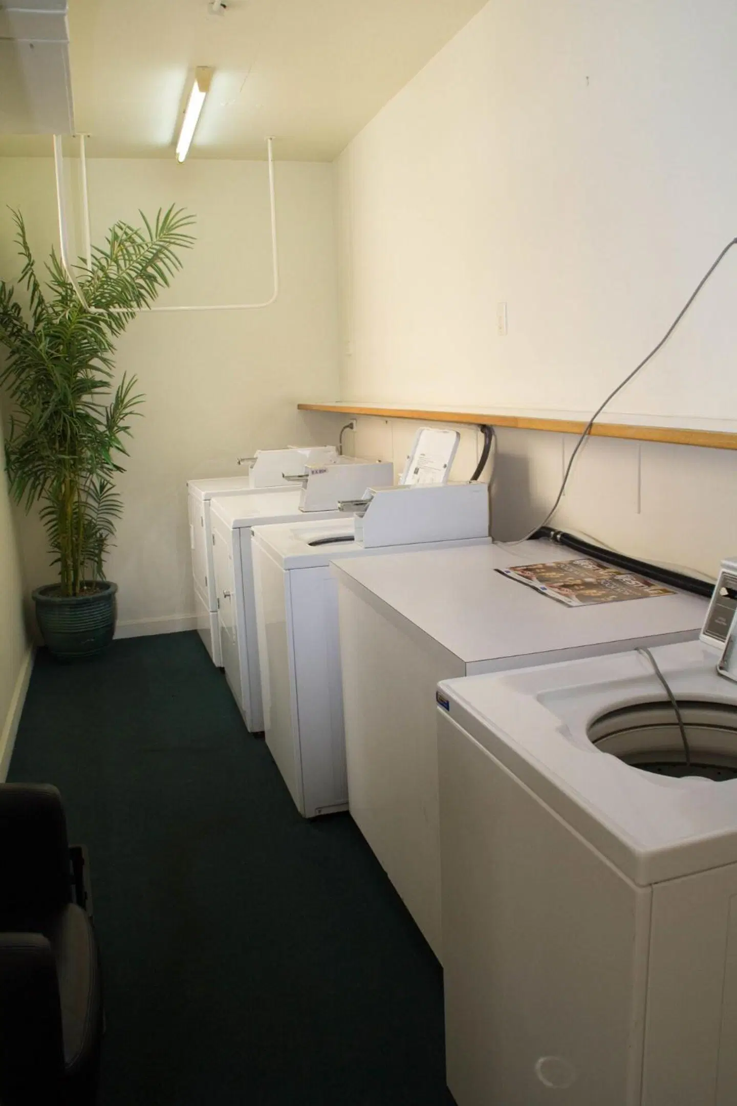 Gladstone Capricorn Apartments ROOM_EXAMPLE