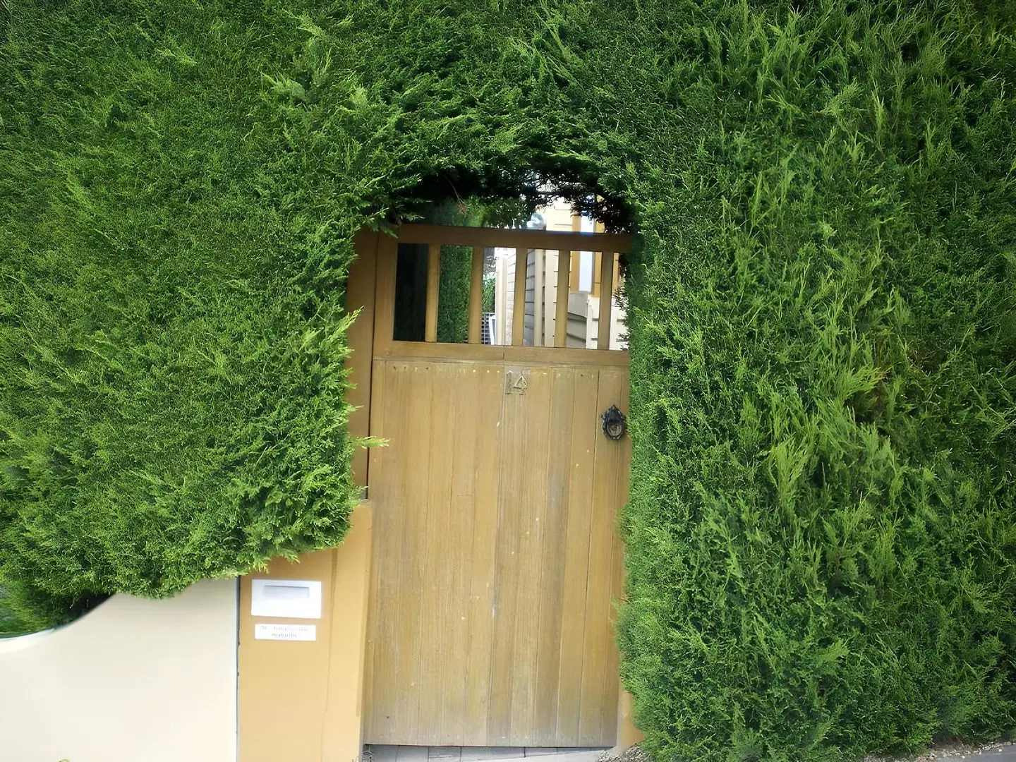 Belton Apartments Garten