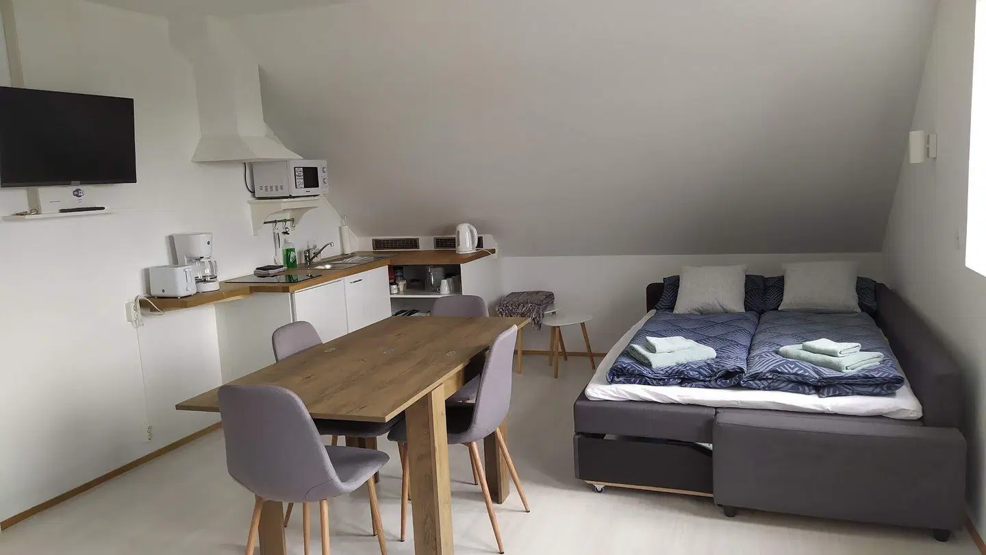 Guesthouse Hateigi ROOM_EXAMPLE