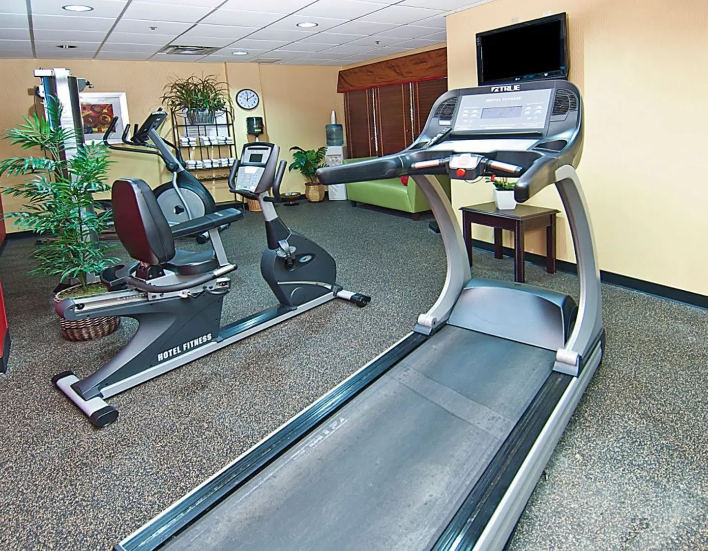 Holiday Inn Vicksburg by IHG SPORTS_AND_LEISURE