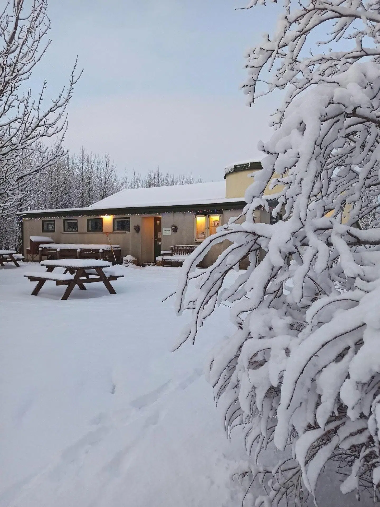 Hjardarból Guesthouse Tiere