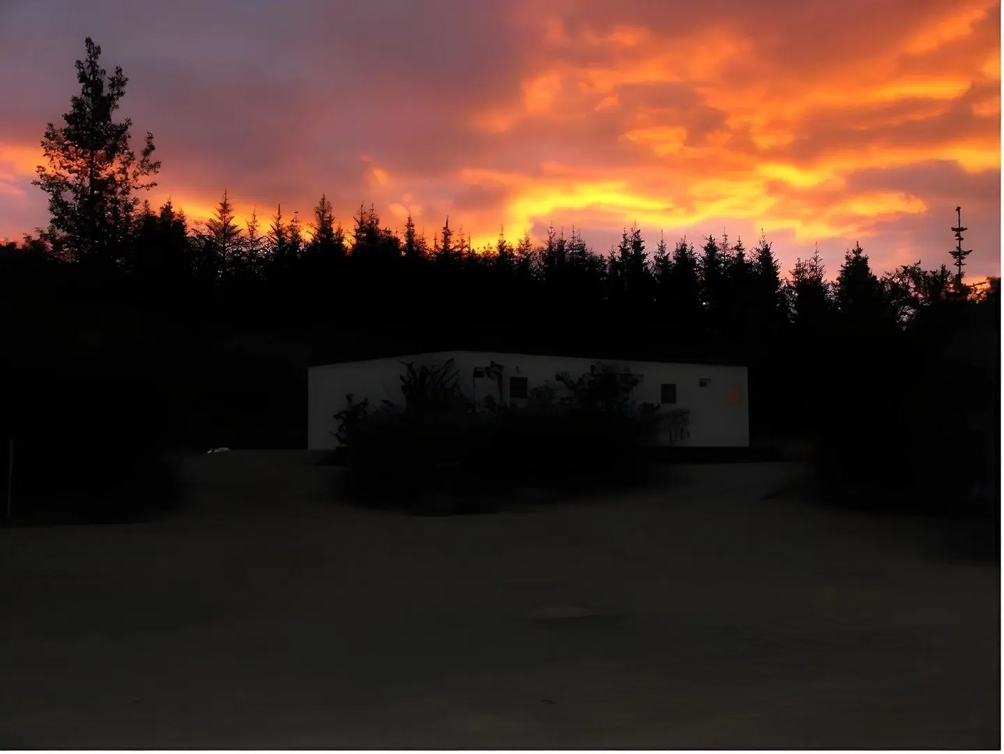 Guesthouse Svartiskógur Egilsstaðir Terrasse
